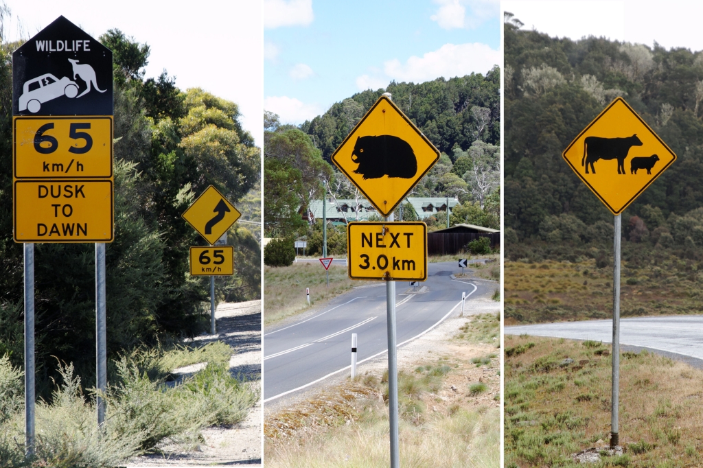 08 - Frecinet NP (20).jpg